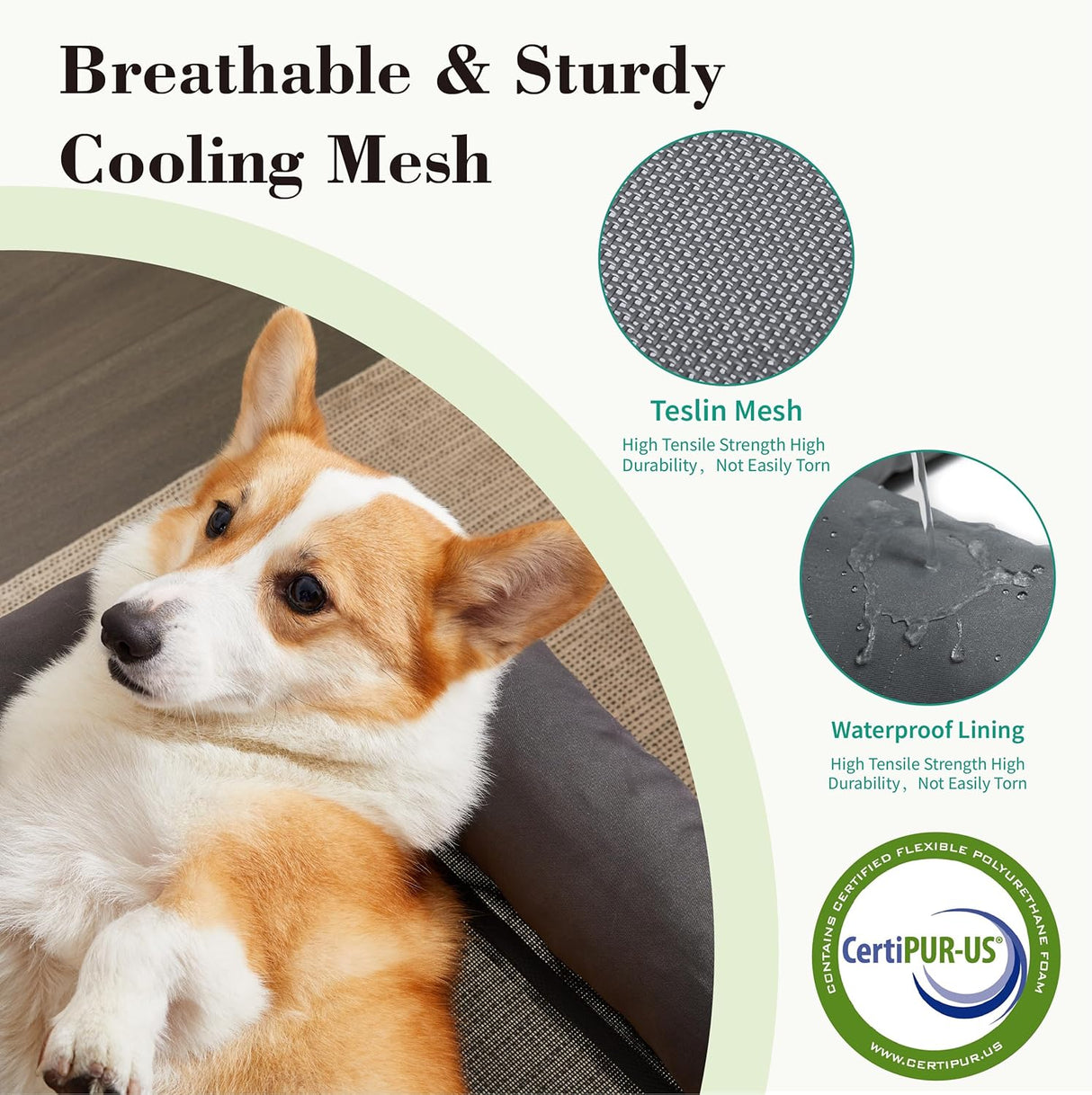 Cama Elevada para Perros, Portátil, Resistente, Mediana