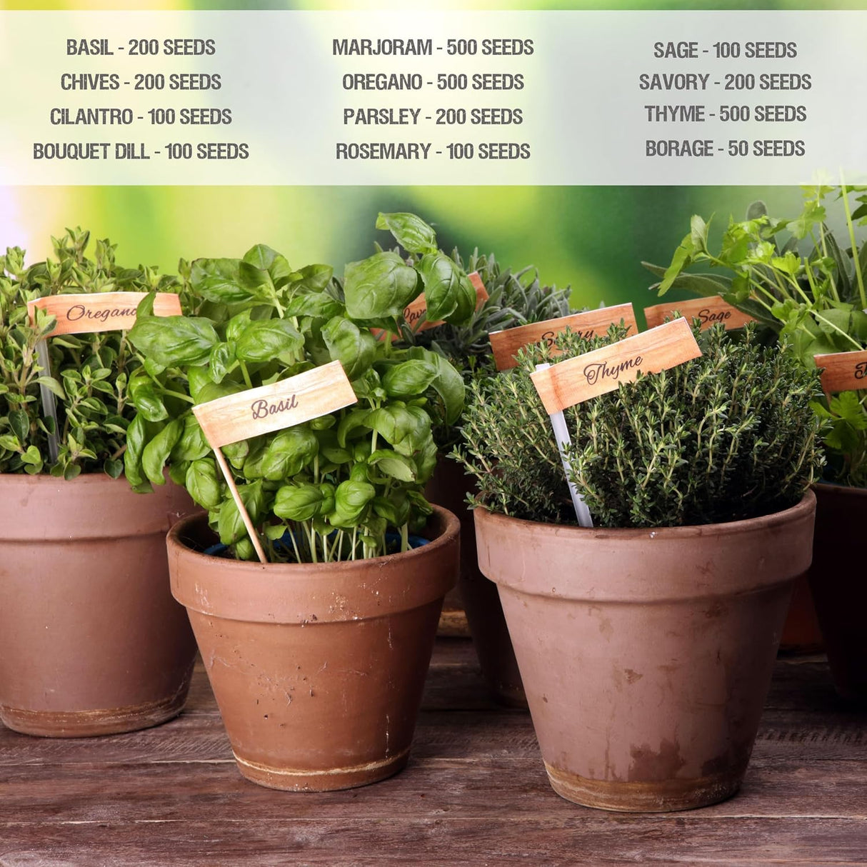 Paquete de Semillas de Hierbas, Seed Needs, 12 variedades orgánicas