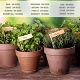 Paquete de Semillas de Hierbas, Seed Needs, 12 variedades orgánicas
