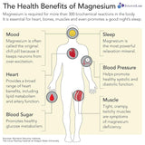 Magnesio avanzado