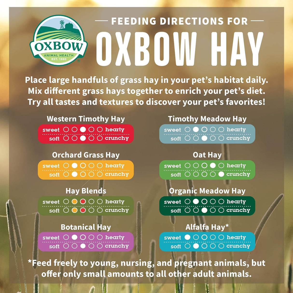 Heno de Hierba Orchard Oxbow - Rico en Fibra - 40 oz.