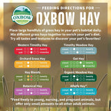 Heno de Hierba Orchard Oxbow - Rico en Fibra - 40 oz.