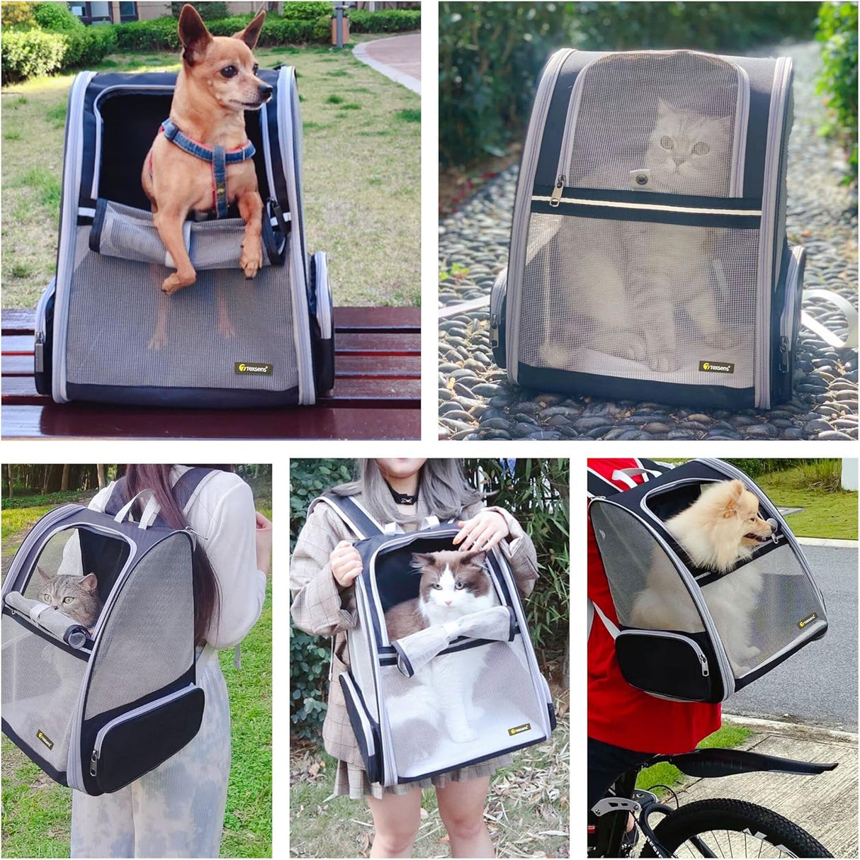 Mochilas de gatos para transporte