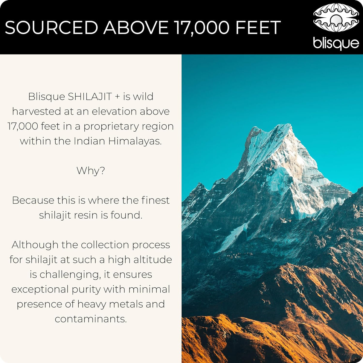Suplemento Gotas minerales de resina Shilajit del Himalaya