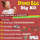 Kit  DANCING BEARde Excavación Dinosaurios para 12 Niños