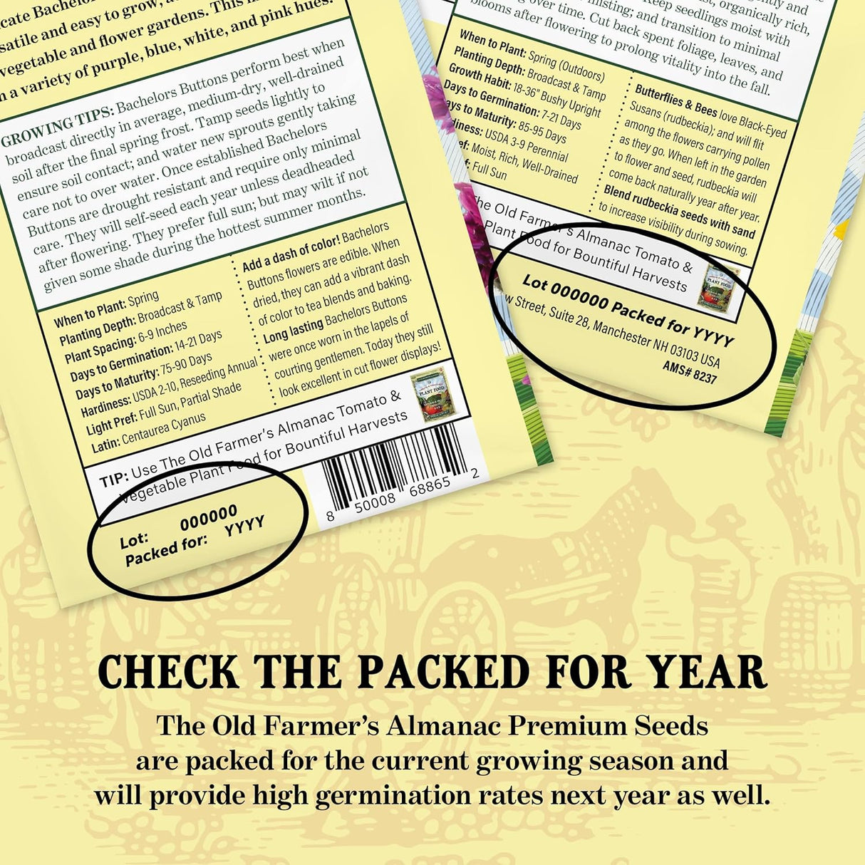 Semillas de Zanahoria Tendersweet - Old Farmer's Almanac - 2600 Semillas