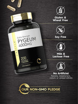 Suplemento Carlyle Corteza de Pygeum africanum 1500 mg  200u