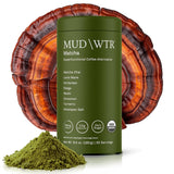 MudWtr Matcha con hongos adaptógenos, 3000mg, 30 porciones