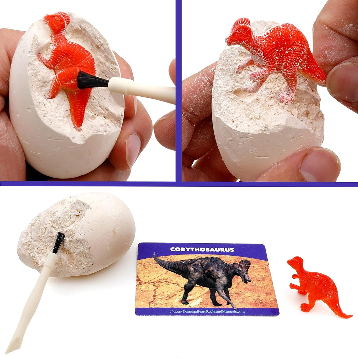Kit  DANCING BEARde Excavación Dinosaurios para 12 Niños