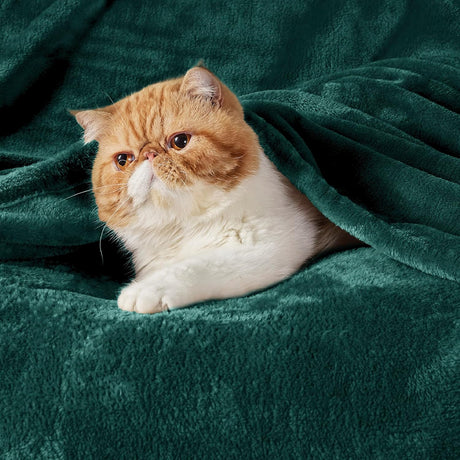 Manta de Fleece Bedsure - Suave, ligera y cómoda - 300GSM