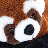Peluche de Mapache rojo para niños, 13 pulgadas