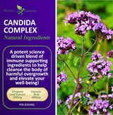 Complejo Candida: Equilibrio Intestinal y Apoyo Inmunológico