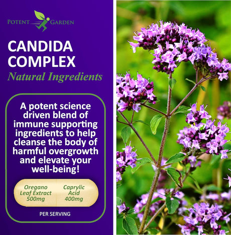 Complejo Candida: Equilibrio Intestinal y Apoyo Inmunológico