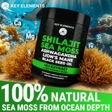 Gomitas de Shilajit Orgánico con Alga Sea - Inmunidad