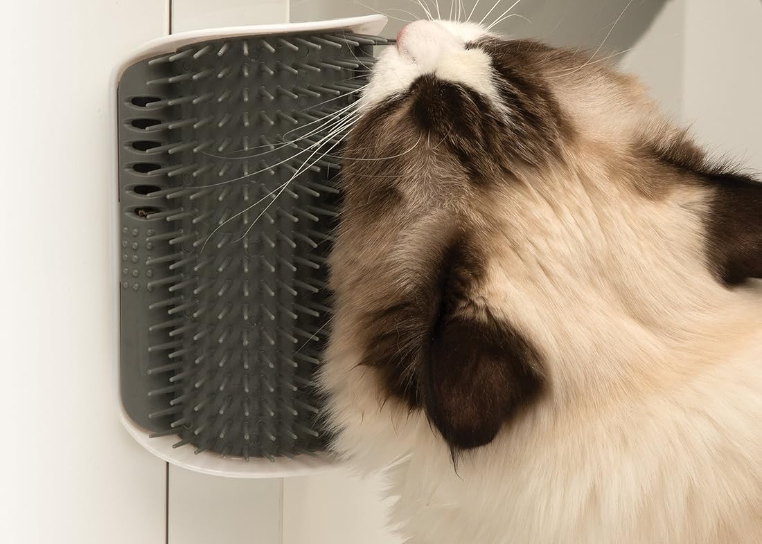 Juguete para gatos Catit Senses 2.0