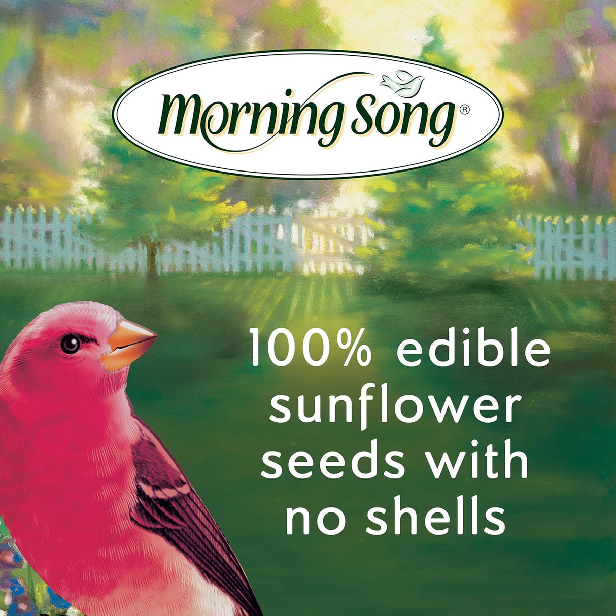 Alimento para aves Morning Song, semillas de girasol sin desechos 5.5 lb