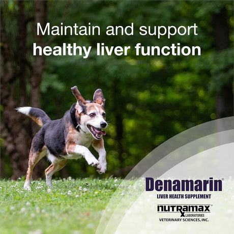 Vitaminas o Tabletas de denamarina para gatos y perros