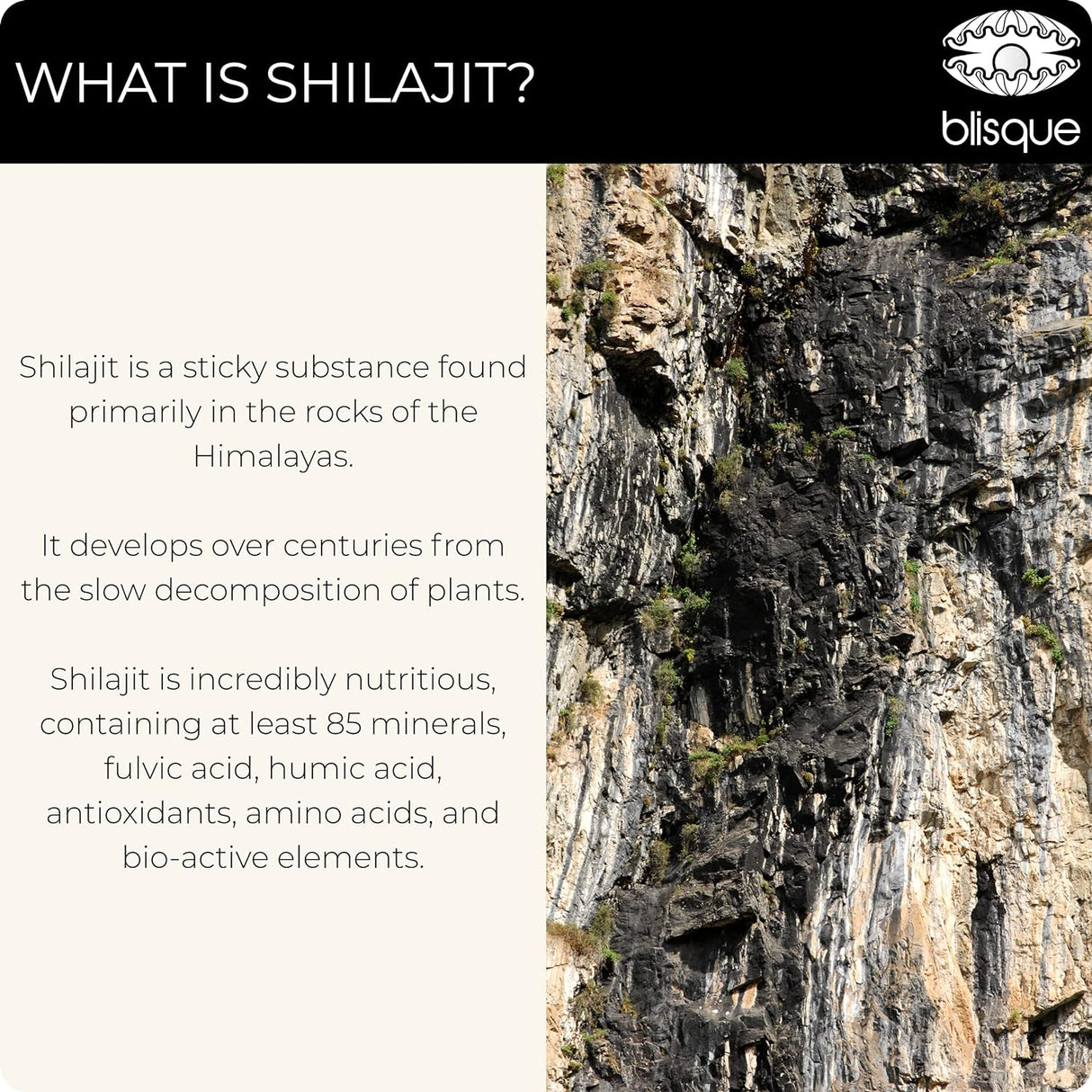 Suplemento de resina Shilajit orgánica oligominerales 2.12oz