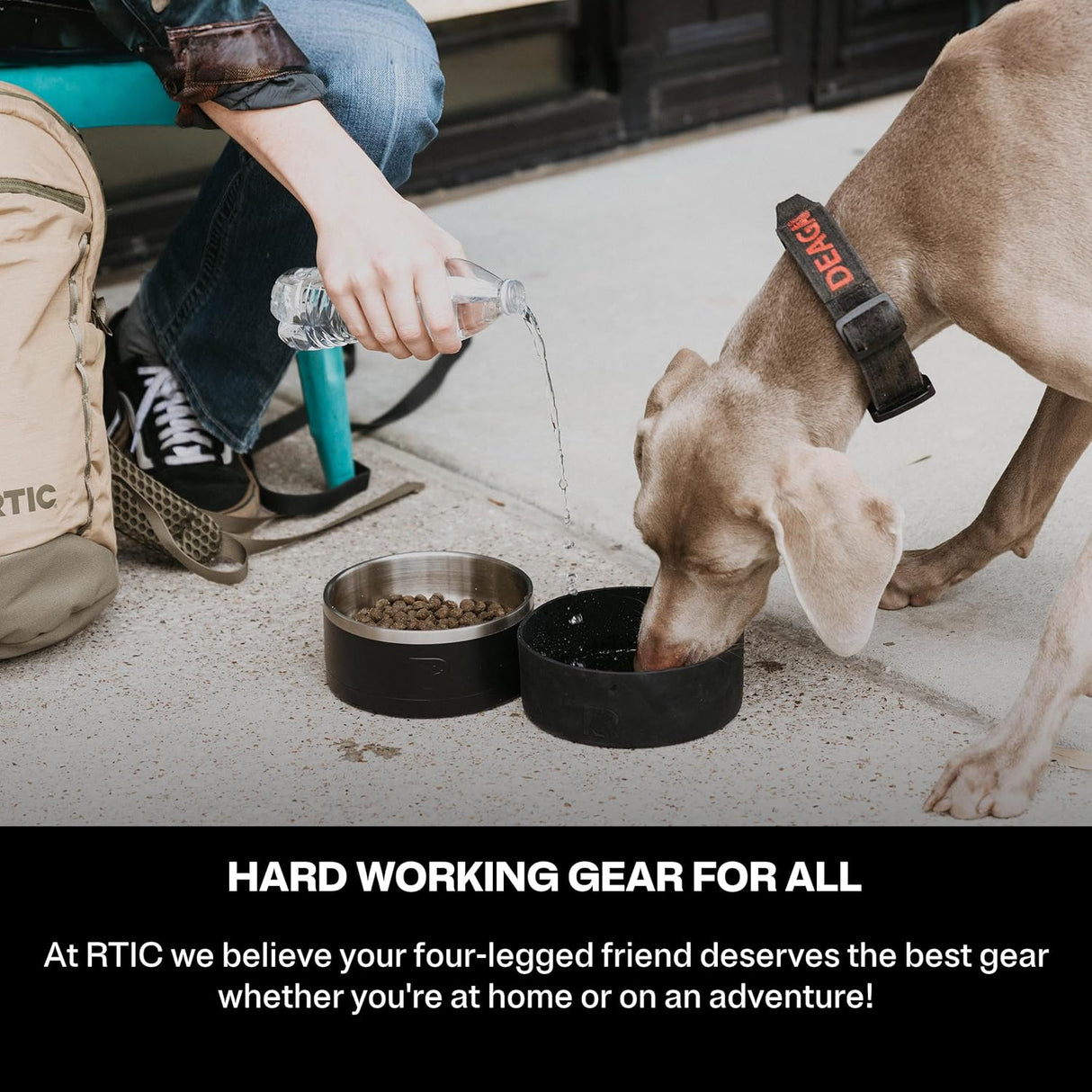 Cuenco 3 en 1 para perros RTIC, acero inoxidable, grande, modelo grande