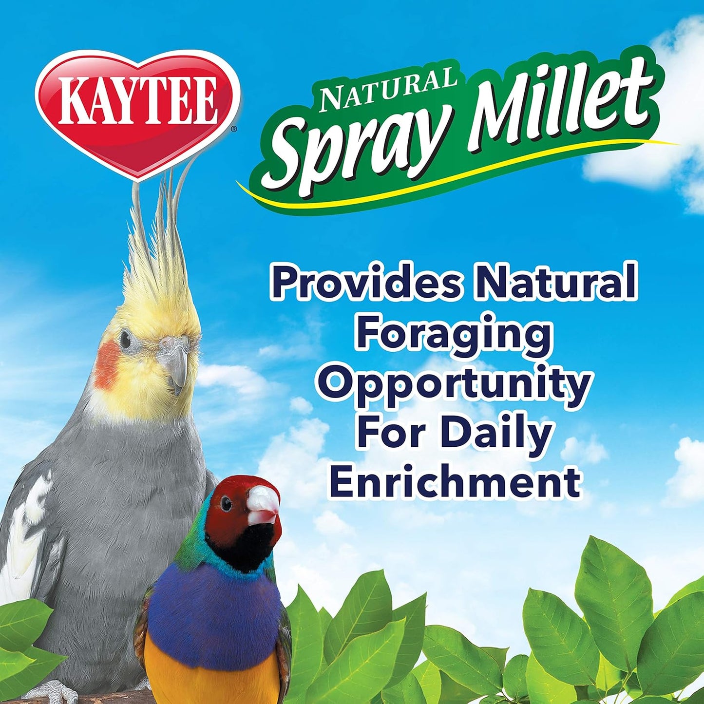 Spray para pájaros, pack de 1 con 12 unidades