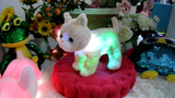Peluches peluche de gato 14 con luz realista de luces LED