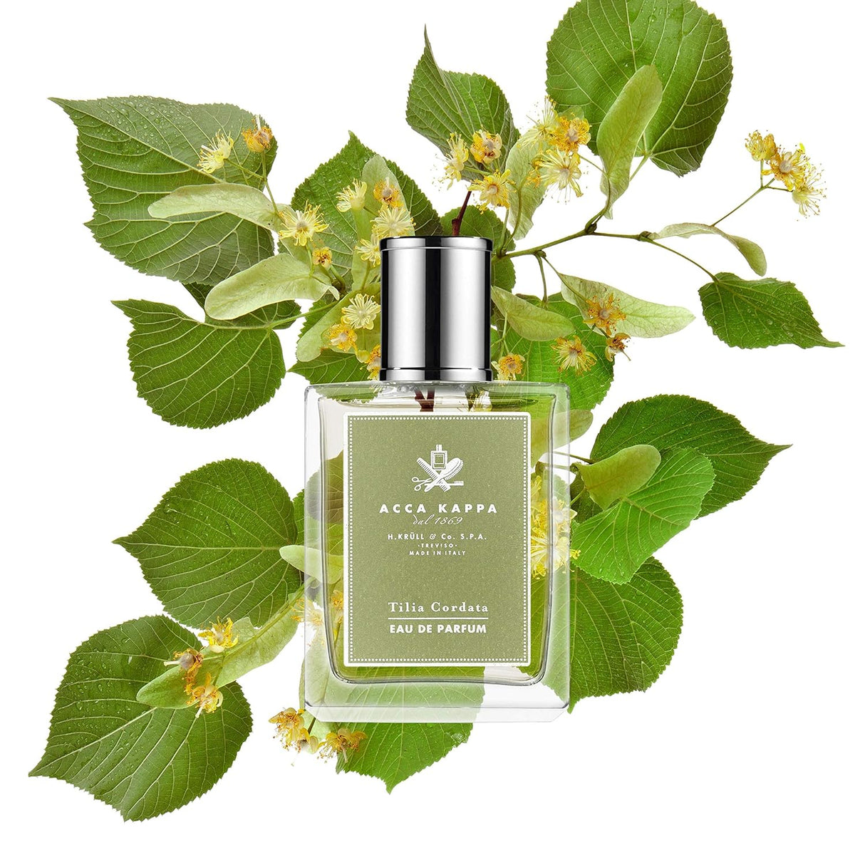 Perfume EDP Tilia Cordata 3.4 fl oz