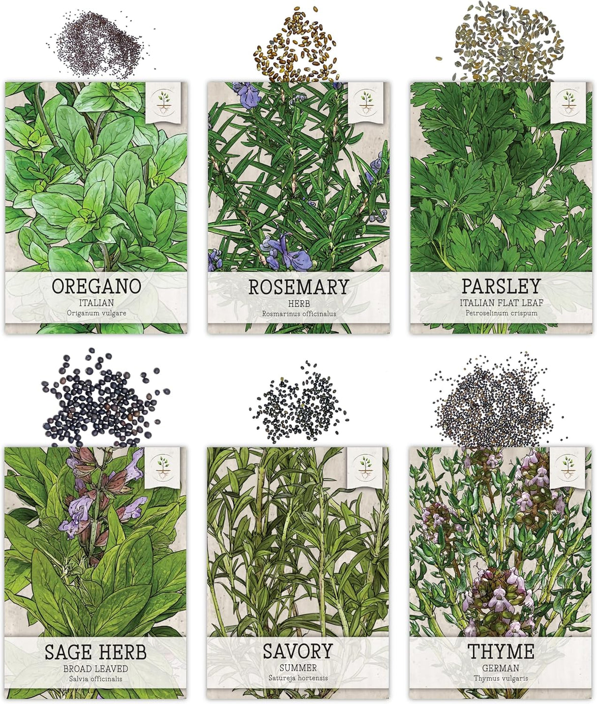 Paquete de Semillas de Hierbas, Seed Needs, 12 variedades orgánicas