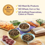 Alimento seco para perro, salud natural, libre de cereales