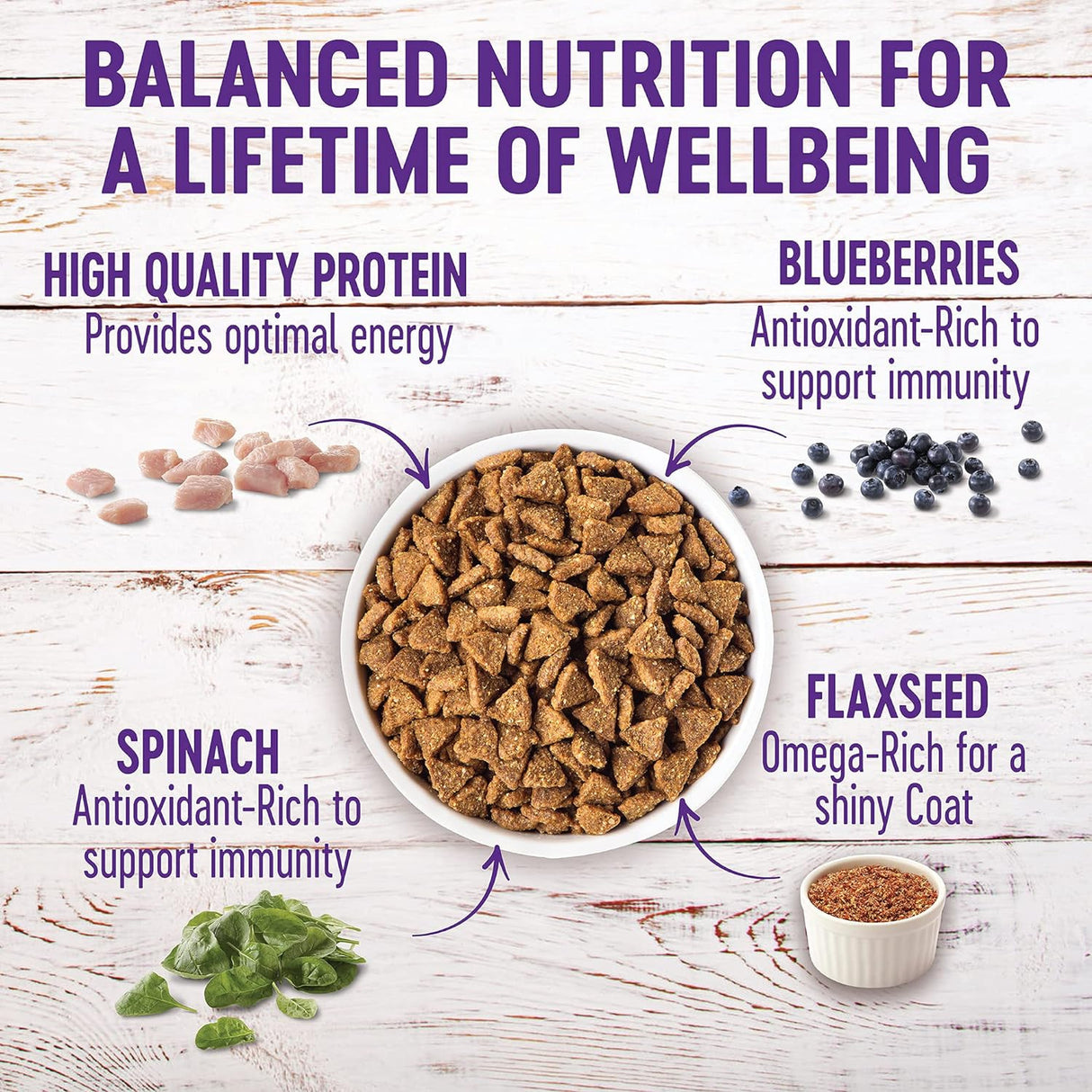 Alimento seco natural para perro de raza pequeña Wellness