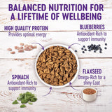 Alimento seco natural para perro de raza pequeña Wellness