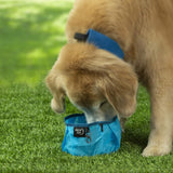 Tazón Colapsable para Perros Nite IZE RadDog Ligero y Práctico