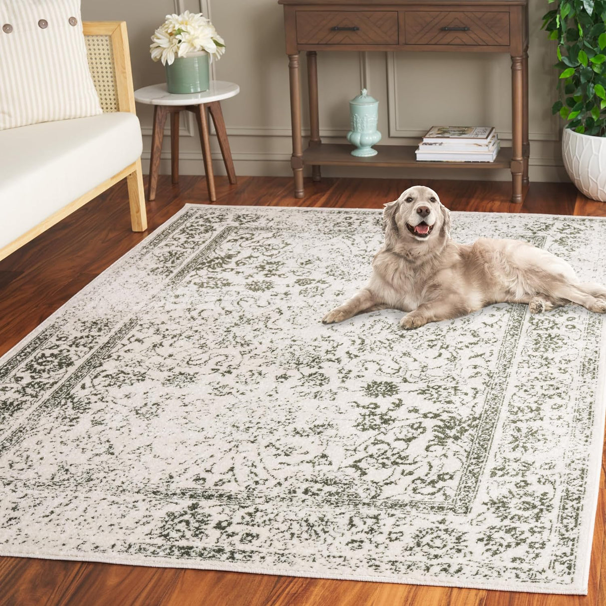 Alfombra SAFAVIEH Adirondack, Diseño Transicional, ADR109X-9