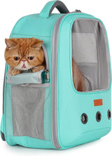 Mochila transportadora para gatos  aprobada por la aerolínea