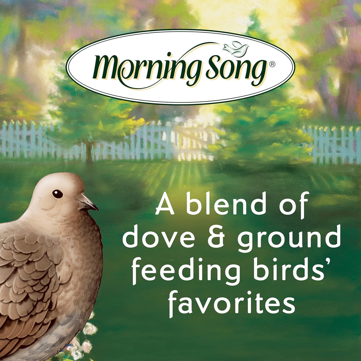 Morning - Mezcla de semillas para pájaros silvestres 7 lbs