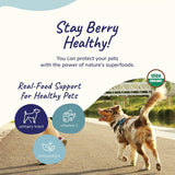 Vitaminas para perros en polvo de arándano para perros