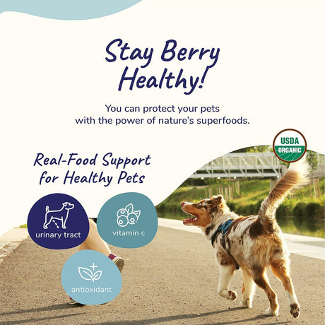 Vitaminas para perros en polvo de arándano para perros