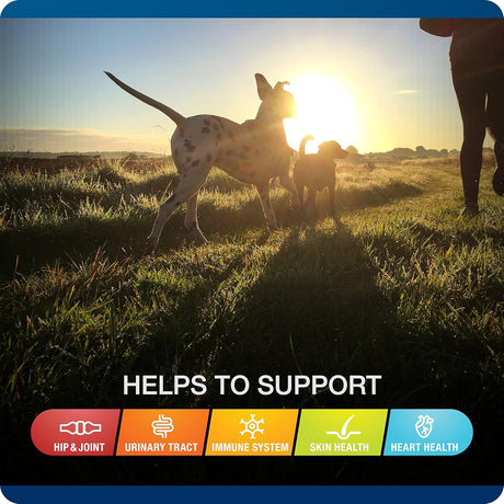 Vitaminas Suplemento 5 en uno para perros apoya la cadera