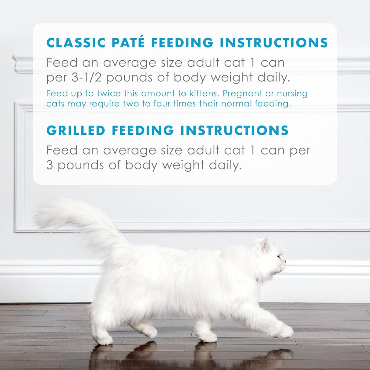 Alimento para Gato húmeda  variedad de latas