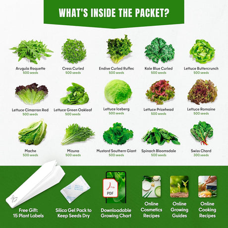 Pack de Semillas de Lechuga y Ensaladas - Variedad Heirloom 7300+