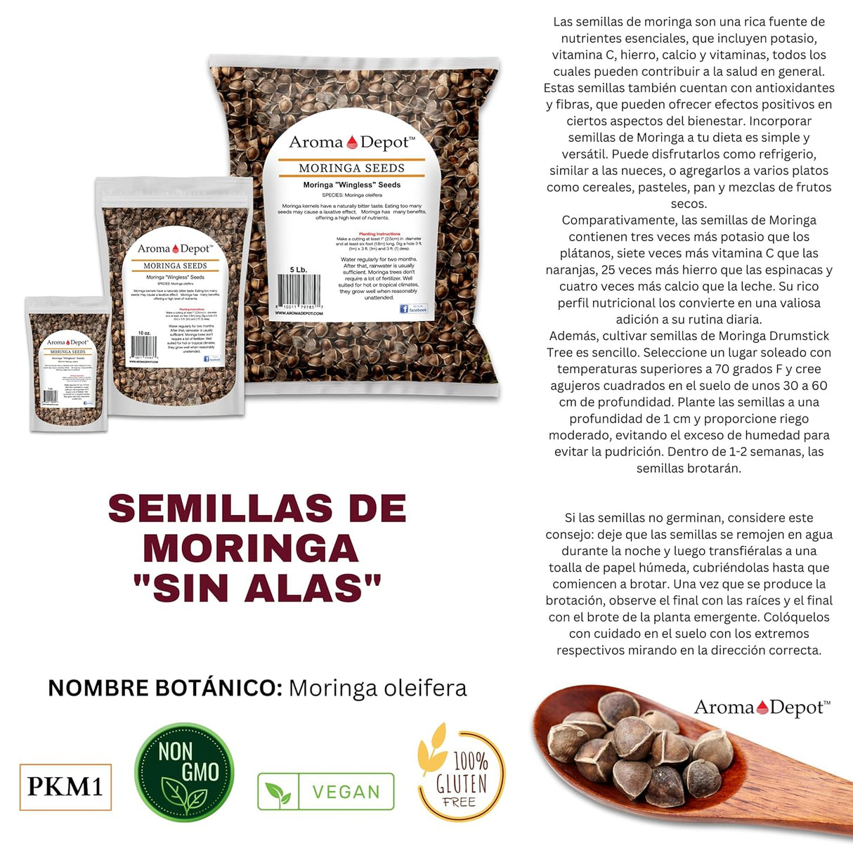 Semillas de Moringa 1 lb. WINGLESS, 100% Natural, PKM1