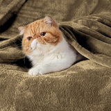 Manta Fleece Bedsure, Ligera, Suave y Cómoda, Tamaño Throw