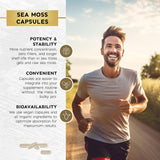 Suplemento de Sea Moss y Aceite de Semilla Negra con Ashwagandha, Miel, ACV y más - 120 cápsulas