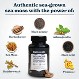 Capsulas de Musgo Marino Pack 2 con Aceite Negro, Ashwagandha y Pimienta, 60 porciones