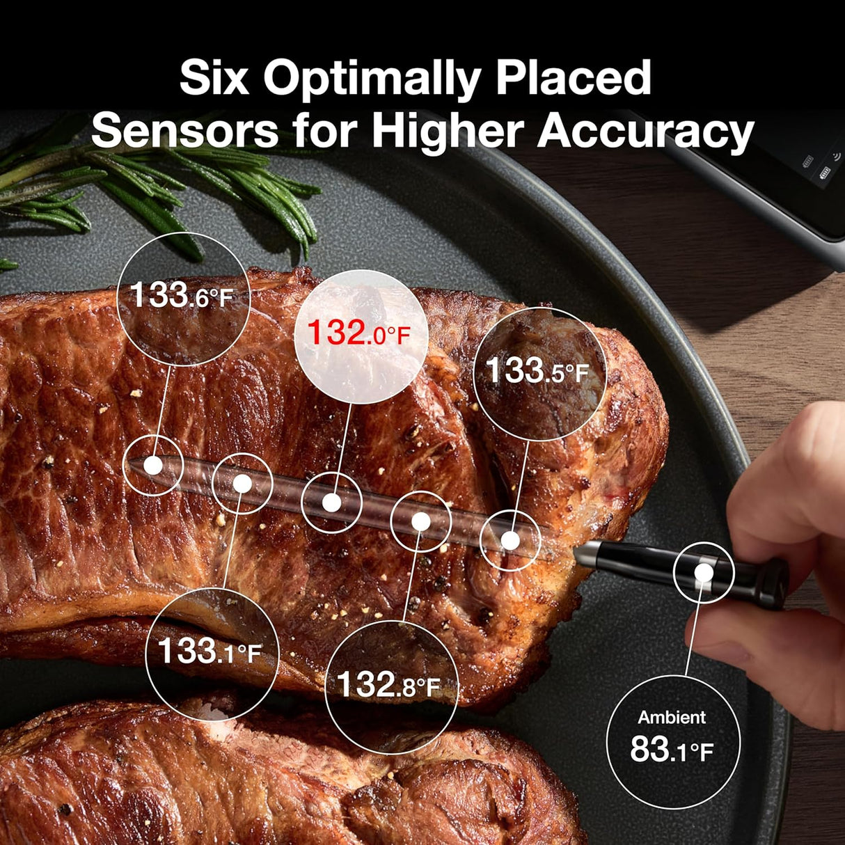 Termómetro de carne inalámbrico, Bluetooth, 2 sondas, modelo XYZ