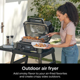 Parrilla y Ahumador 4 en 1 OG850 Woodfire Pro XL