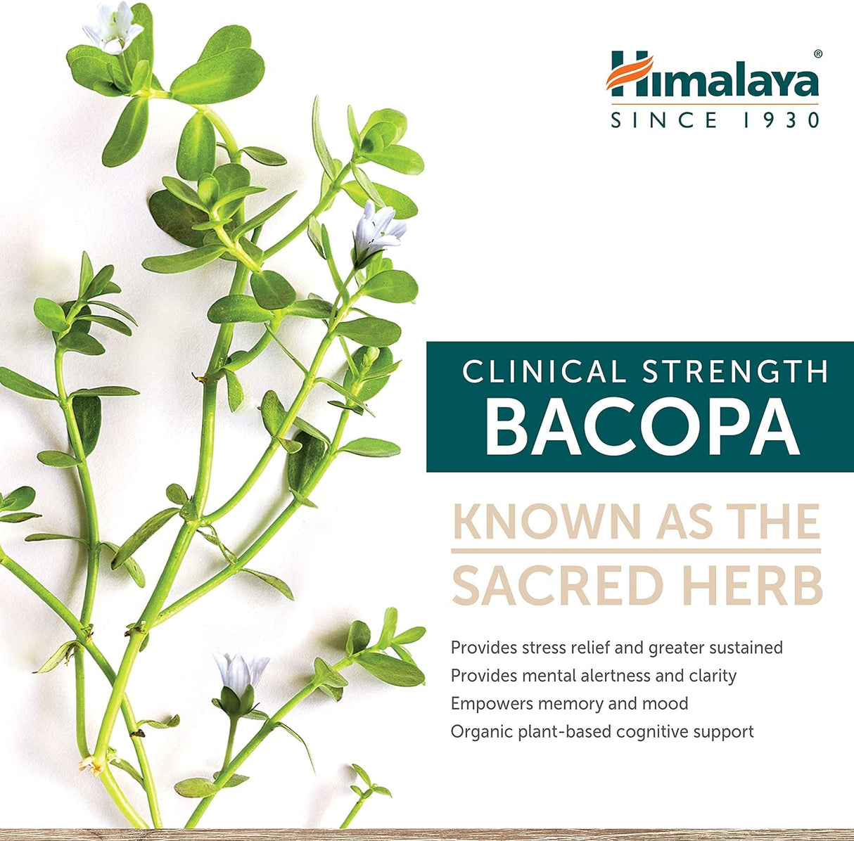 Hierbas de Bacopa del Himalaya, Modelo B001F0R034