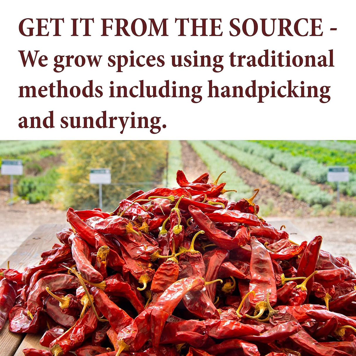 Canela Ceylán en Polvo - The Spice Way - 6 oz, 100% natural