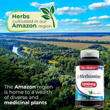 Suplemento FITO MEDICS  Metionina L Metionina 1200mg 150 cáp