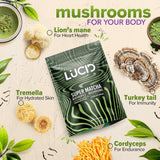 Superfood de Hongos Lucid Matcha - Enfoque y Salud Cerebral