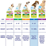 Pañales desechables para perros con tecnología FlashDry Gel - M, 32 unidades